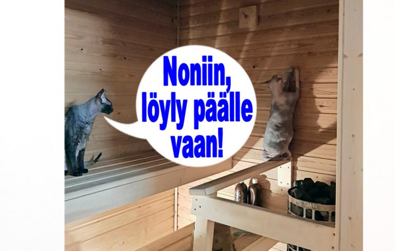hauskat kuvat
