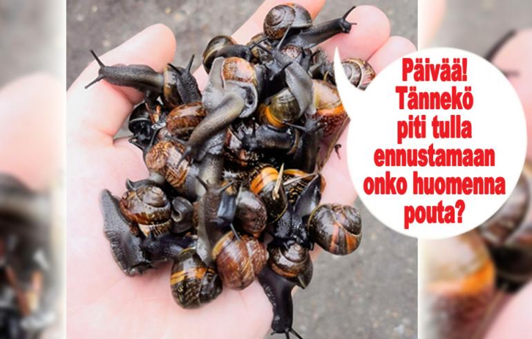 hauskat kuvat