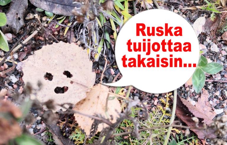 viikon hauska kuva