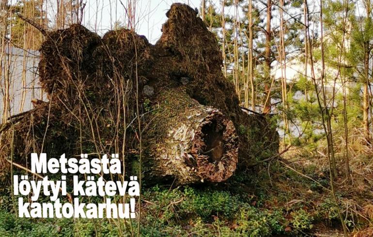 hauskat kuvat