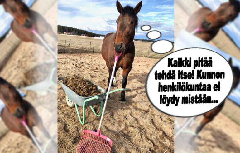 hauskat kuvat