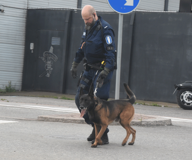 poliisikoira