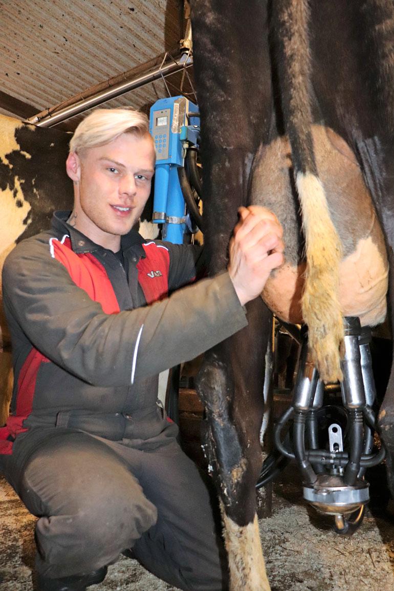 Lypsäminen sujuu Akilta kuin vanhalta tekijältä, ja hän rakastaa navettatöitä.