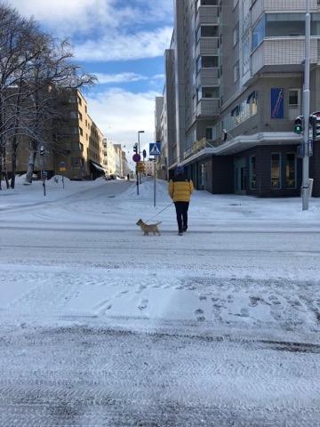 Sinne menivät!