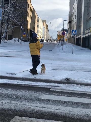 Arttu Lindeman ja koira ylittivät härskisti tien Lahdessa.