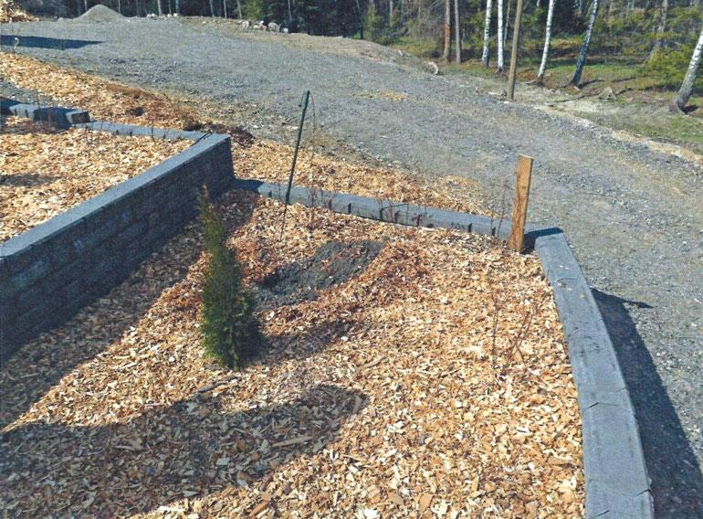 Aarnion rahakätkön viereen oli jo ennen toisen etsinnän alkua isketty laudanpätkä maahan pystyyn. Oliko lauta laitettu merkiksi kätköpaikasta?