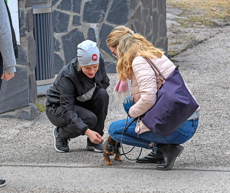 Laura pysähtyi juttelemaan ihmisille sekä silitteli näiden koiria.