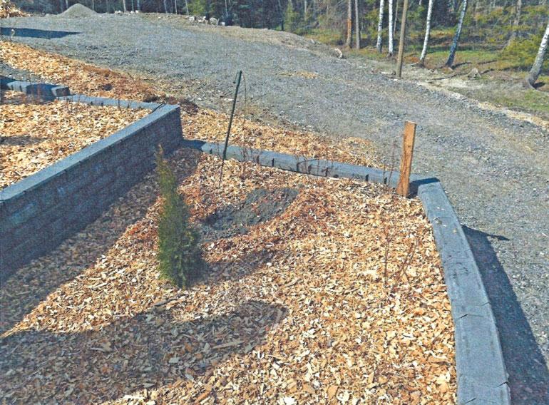 Aarniolta on löytynyt aiemminkin epäilyttävää rahaa. Hänen kukkapenkistään löytyi yli 64 000 euron rahakätkö.