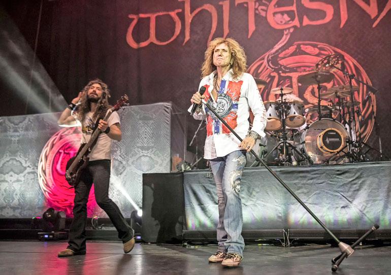 Whitesnake