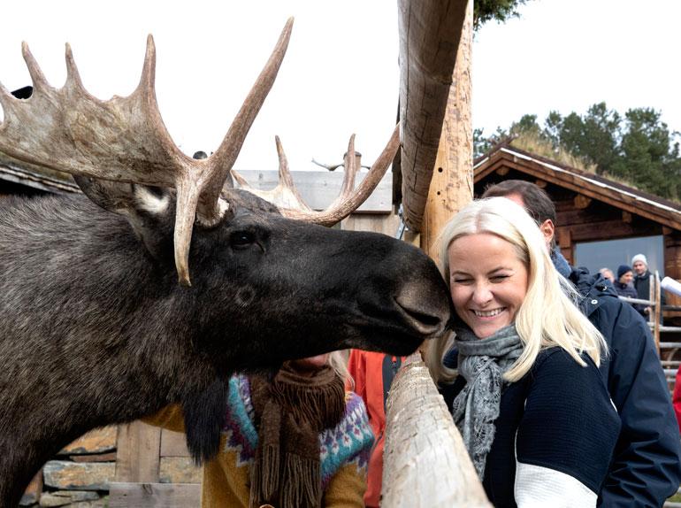 Mette-Marit ja hirvi.
