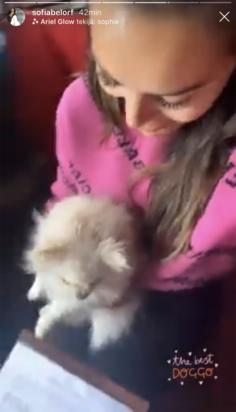 Bambi ja Sofia
