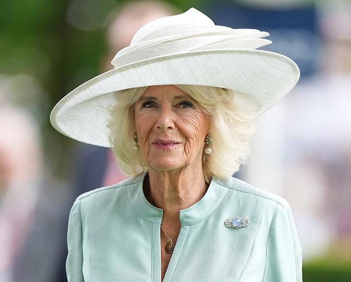 Cornwallin herttuatar Camilla
