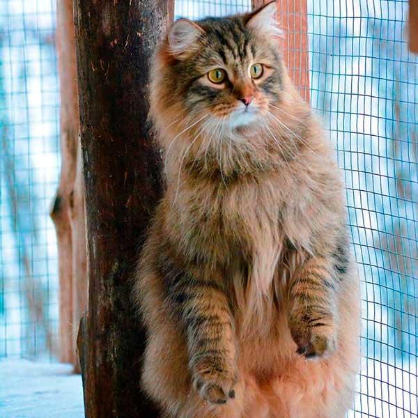Ragnar