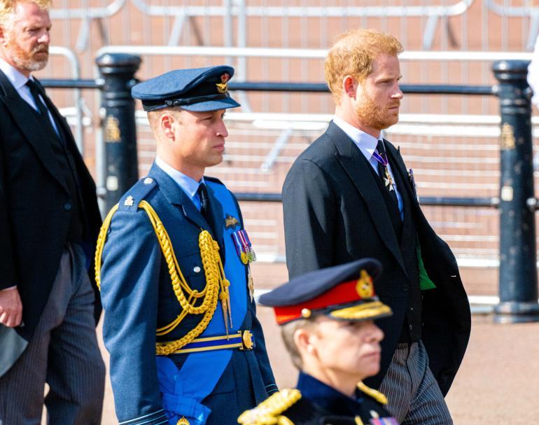 harry, william