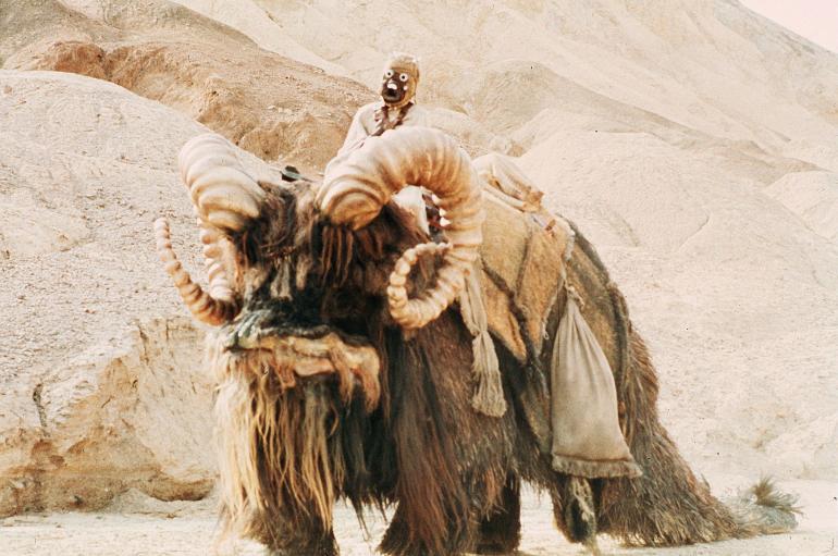 Tusken