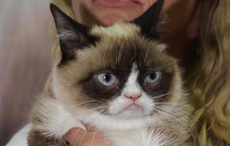Karvinen ja Grumpy Cat tapasivat - kumpi karvakasa on maireampi mutrunaama?