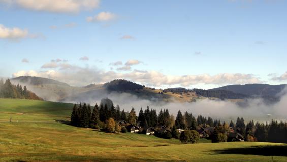 schwarzwald