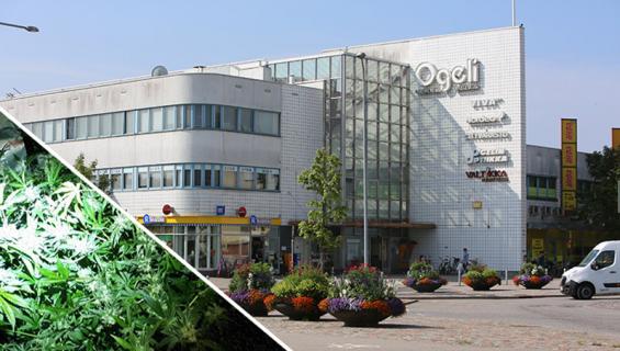 ogeli