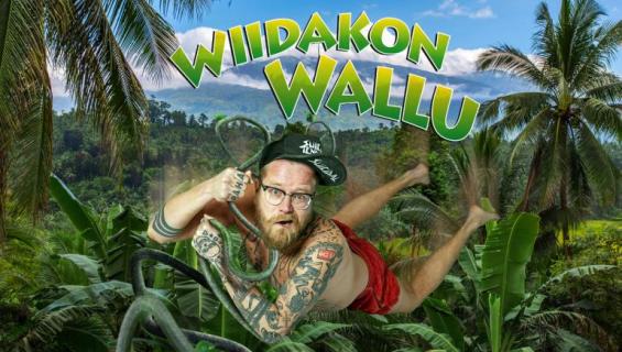 Wiidakon Wallu