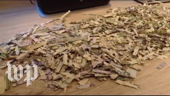 Lapsi silppusi tuhat euroa käteistä! Katso video!