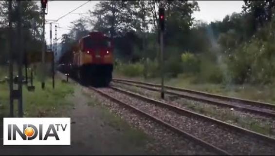 Intialainen rautatieyhtiö karkottaa norsut raiteelta mehiläisten surinalla!