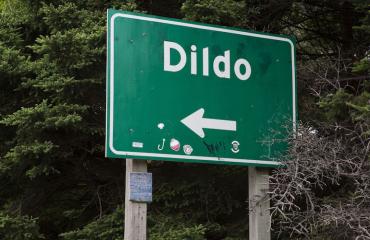 Rannalla oli kymmeniä dildoja.