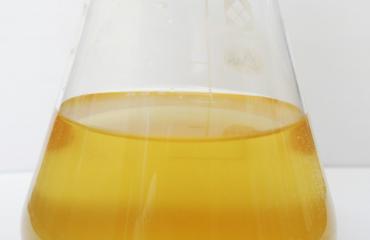 Nainen juo koiran virtsaa.