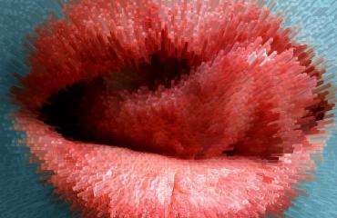 Lips