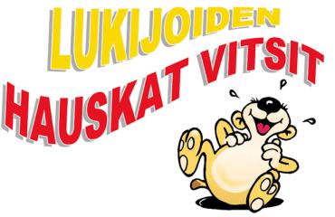 VIIKON VITSI