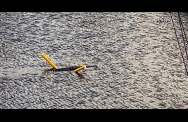 Uimaleluista nauttinut krokotiili tallentui kameralle - katso hauska video!