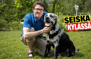 Mitä ihmettä?! Riihimäkeläinen Blaze-koira muuttuu mustasta vaaleaksi – video!