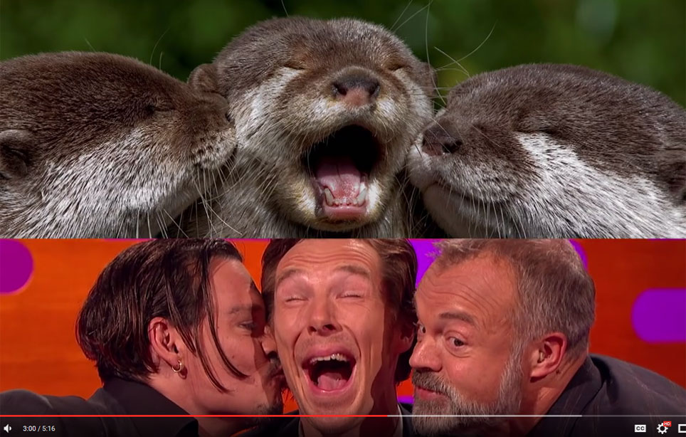 Mitä hassuttelua - Johnny Depp ja Benedict Cumberbatch saukkoina! Mitä hassuttelua - Johnny Depp ja Benedict Cumberbatch saukkoina!